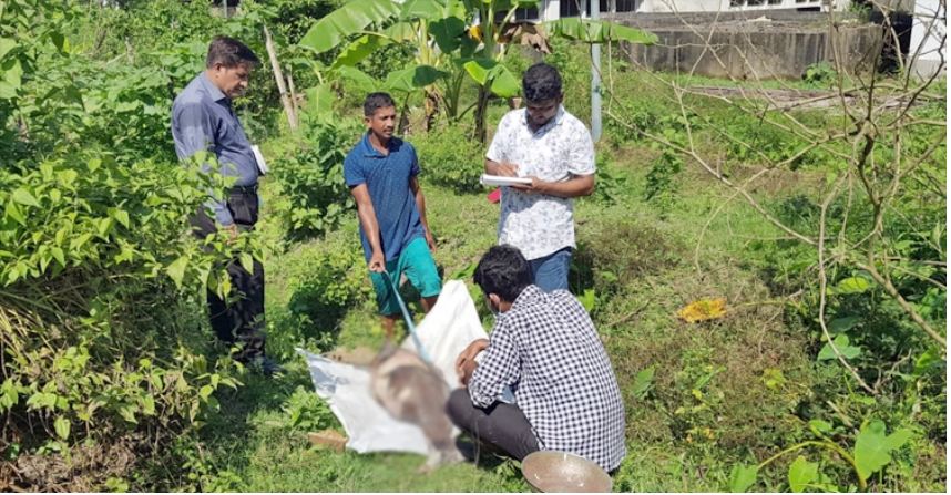 হালদায় ভেসে উঠলো মৃত ডলফিন