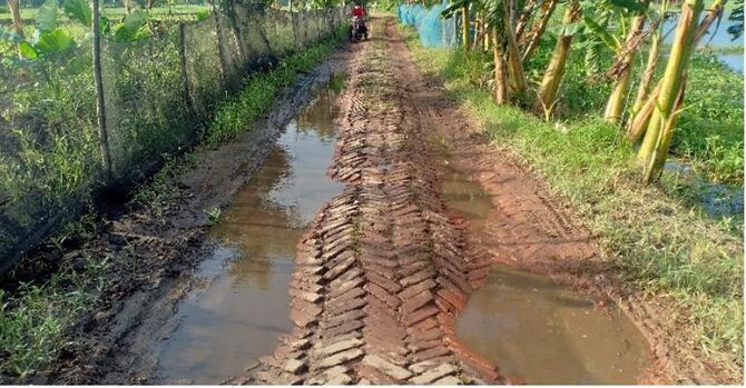 কোটালীপাড়ায় এক সড়কের বেহাল দশা, জনদুর্ভোগ চরমে