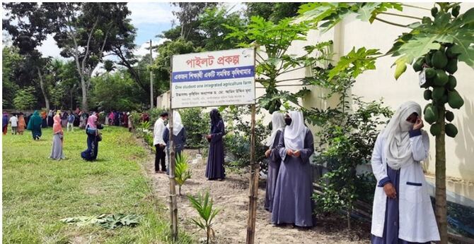 শিক্ষার্থীদের পরিচর্যায় গড়ে উঠছে যে কলেজের কৃষি খামার