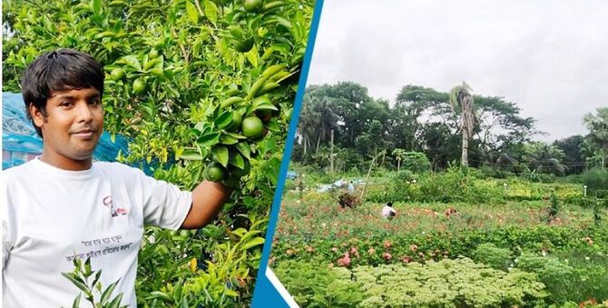 সোহানের সংগ্রহে ৩০০ প্রজাতির গাছ