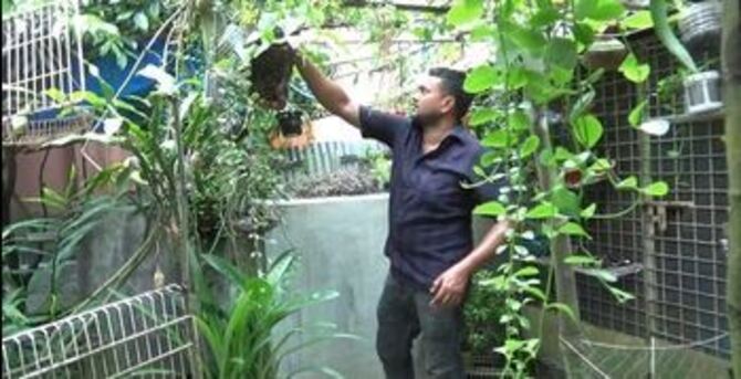 পরিত্যক্ত যন্ত্রাংশে সুমনের সবুজ বাগান