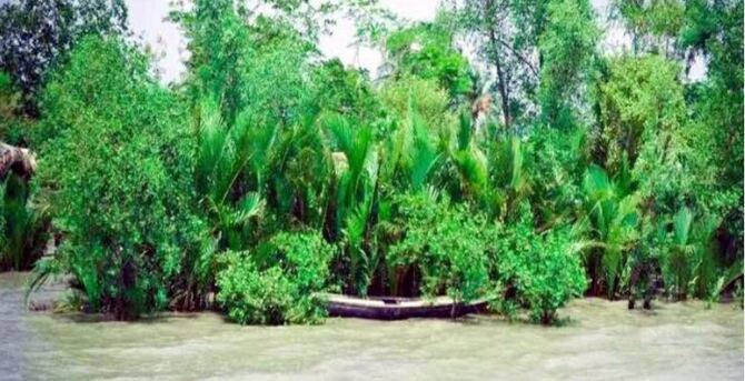 সুন্দরবনের অভয়ারণ্যে মাছ ধরার সময় ১৬ জেলে আটক