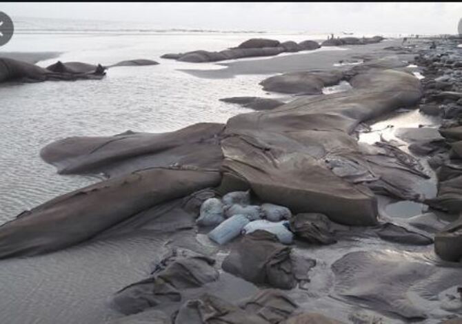 ছেড়া বস্তা আর খানাখন্দে ভরা কুয়াকাটা সৈকত