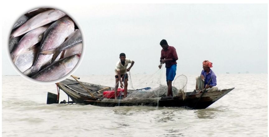 নিষেধাজ্ঞা শেষে মধ্যরাত থেকে ইলিশ ধরা শুরু