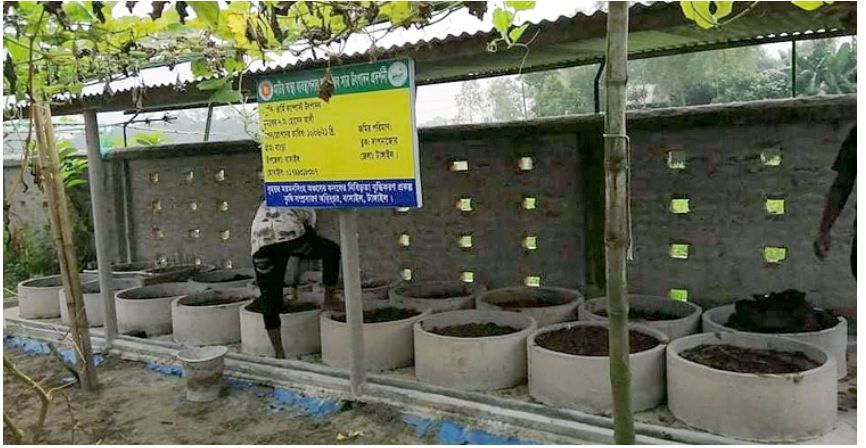 বাসাইলে জনপ্রিয় হচ্ছে ভার্মি কম্পোস্ট সার