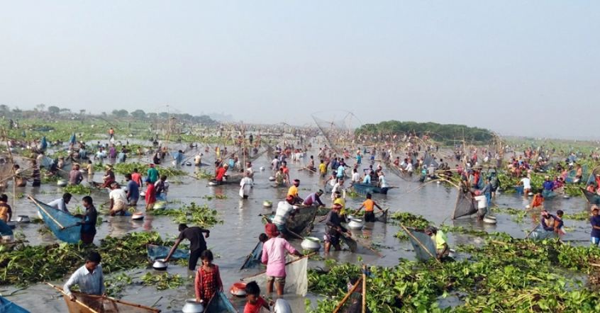 চলনবিলের বুকে পলো উৎসবে মেতেছেন বাউতরা