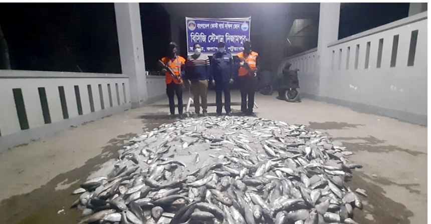 বাস থেকে উদ্ধার হলো এক হাজার কেজি জাটকা