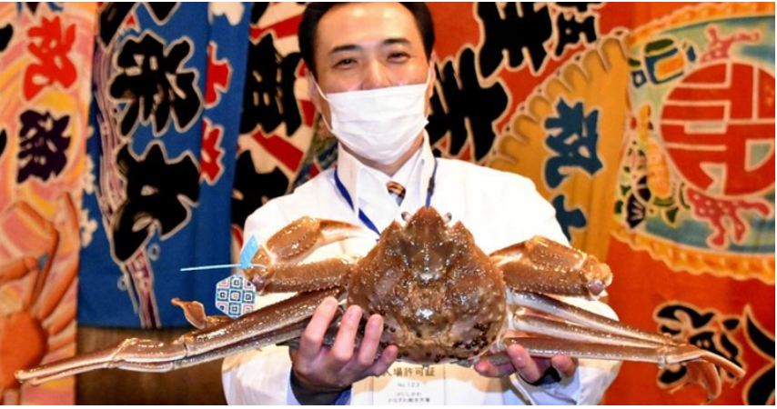 জাপানি পুরুষ কাঁকড়ার দাম ৩৭ লাখ টাকারও বেশি