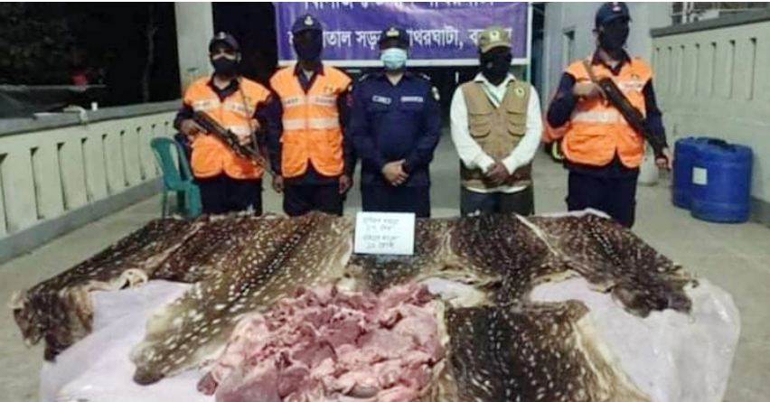 পাথরঘাটায় হরিণের চামড়া-মাংস জব্দ