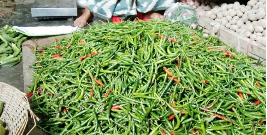 দেশেই বাড়ছে কাঁচামরিচের সরবরাহ, বন্ধ আমদানি