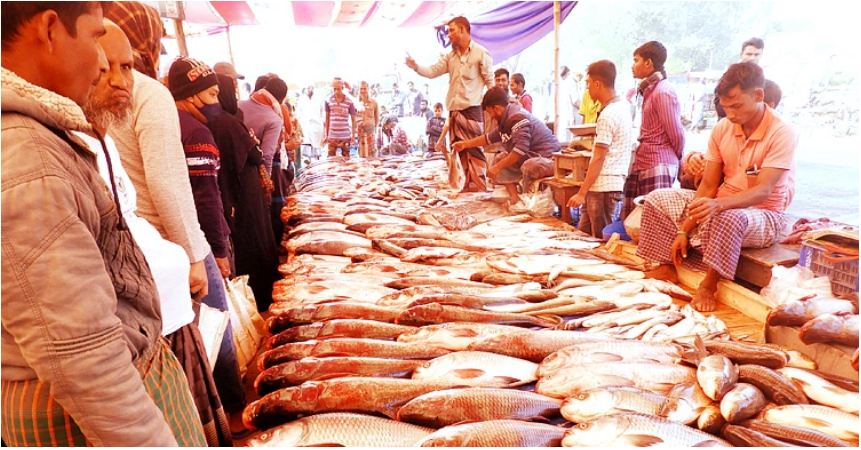 নবান্ন উদযাপনে মাছের মেলা