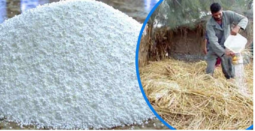 ইউরিয়া সার ব্যবহার করে খড় সংরক্ষণের উপায়