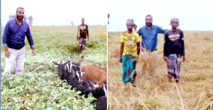 ফরিদপুরের চরাঞ্চলে শীপুর কৃষি বিপ্লব