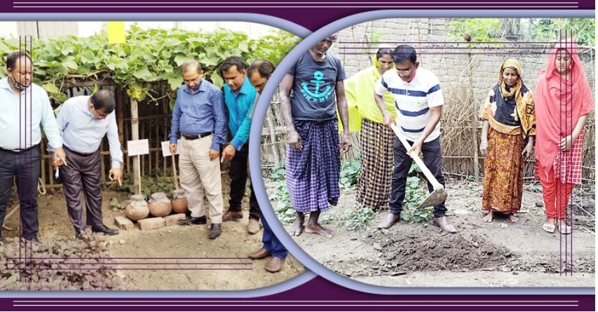 মেহেরপুরের গাংনীতে জনপ্রিয় হচ্ছে ‘পারিবারিক পুষ্টি বাগান’