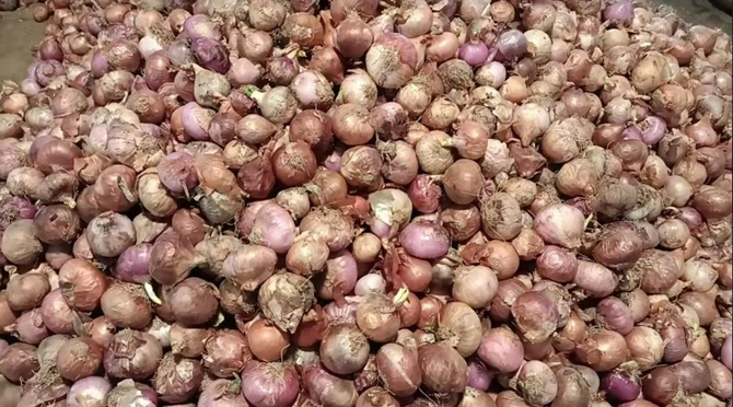 হিলিতে কমেছে পেঁয়াজ ও কাঁচা মরিচের দাম