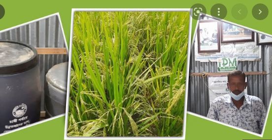 কম জমিতে বেশি ফসলে আ. খালেকের চমক