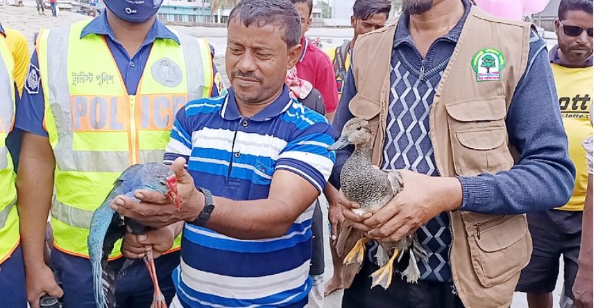 মুক্ত আকাশে ফিরে গেলো ৭ পাখি