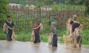 পল্লীতে মাছ ধরার ধুম