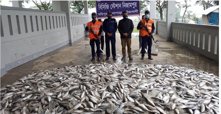 ট্রাক থেকে ১৮শ কেজি জাটকা জব্দ