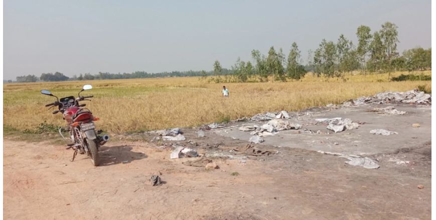 ঘাস ও খড়ে মাত্রাতিরিক্ত সিসায় মারা যাচ্ছে গরু