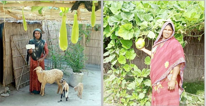 কৃষিকাজ করে স্বাবলম্বী হচ্ছেন চরাঞ্চলের নারীরা