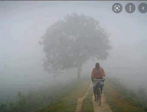 মাঝ পৌষে শীত গায়েব, গুঁড়ি গুঁড়ি বৃষ্টি