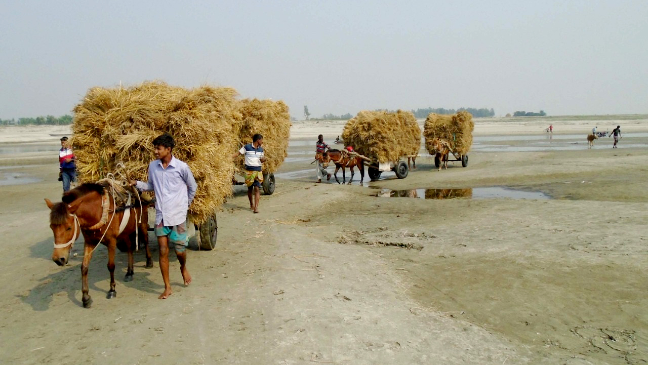 চরাঞ্চলে ভরসা কেবল ঘোড়ার গাড়ি