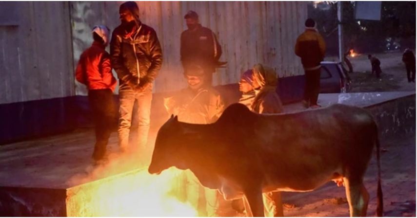 শীতে কাবু দিল্লি, বছরের সর্বনিম্ন তাপমাত্রা রেকর্ড