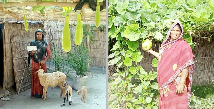 কৃষিকাজ করে স্বাবলম্বী হচ্ছেন চরাঞ্চলের নারীরা