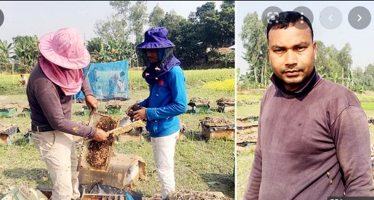 মৌচাষ করে আপেলের আয় ৪ লাখ টাকা
