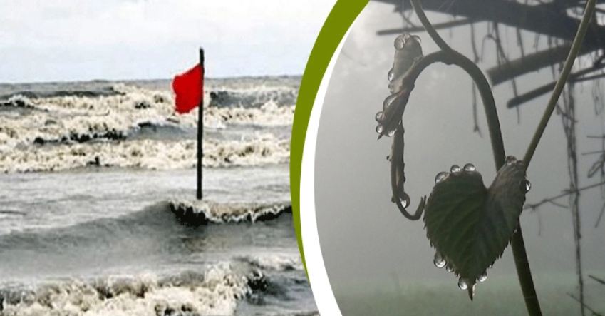 নামলো সতর্ক সংকেত, তাপমাত্রা কমে জেঁকে বসবে শীত