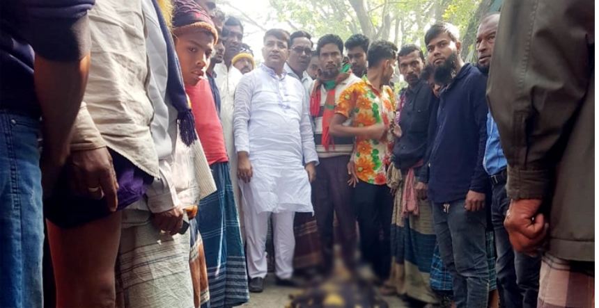 পিকআপ-অটোরিকশা সংঘর্ষে দাদি-নাতনি নিহত