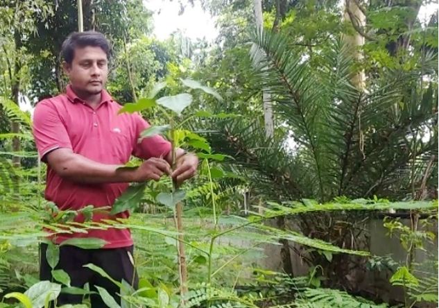 বেতনের টাকায় ৭ বছরে ৭০০০ গাছ লাগিয়েছেন আনোয়ার হোসেন