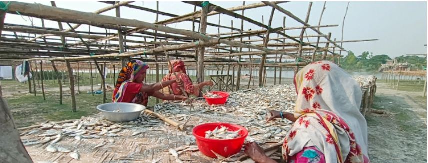 চাহিদার সঙ্গে পাল্লা দিয়ে বাড়ছে কুয়াকাটা শুঁটকি পল্লীর ব্যস্ততা