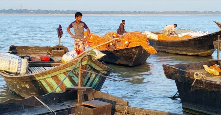 ছোট্ট গ্রামে রোজ বিক্রি হয় ৭ লাখ টাকার টমেটো