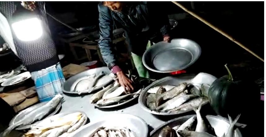 পায়রা নদীর পাড়ে ইলিশের হাট