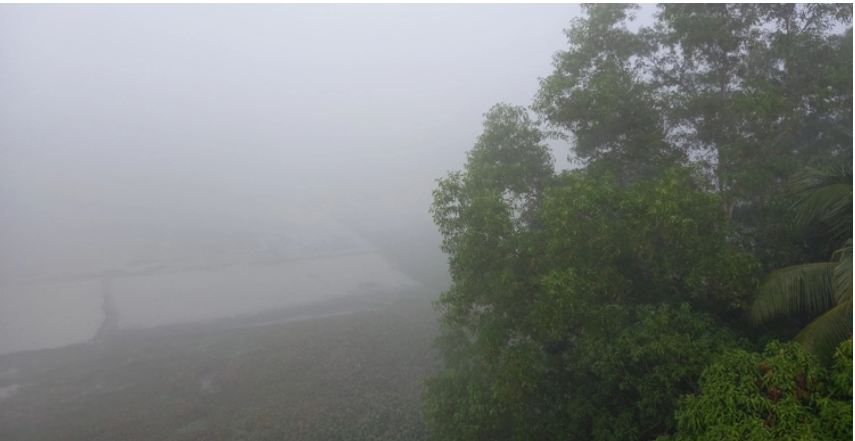 চায়ের রাজ্যে বয়ে যাচ্ছে মৃদু শৈত্যপ্রবাহ