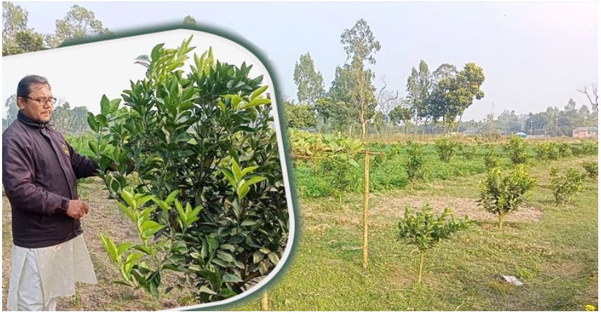 এক জমিতেই ১১ ফসল ফলিয়ে চমক আমিরুলের