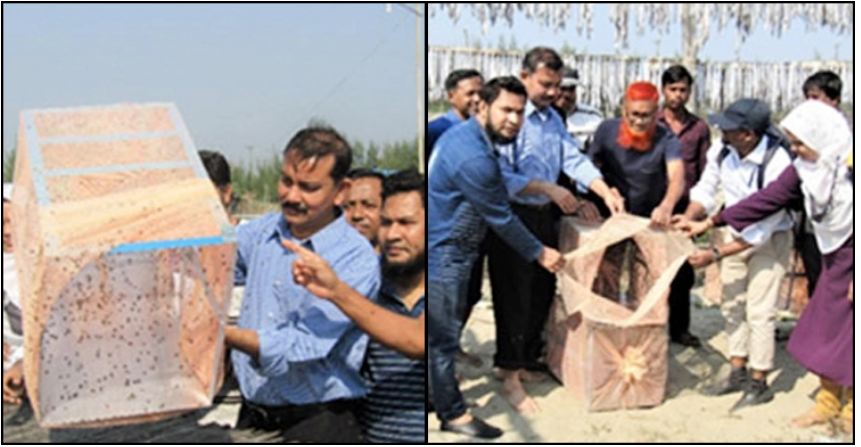 যে পদ্ধতিতে উৎপাদন হবে বিষমুক্ত শুঁটকি