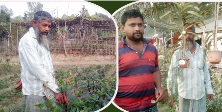 নার্সারি থেকে বাবা-ছেলের মাসে আয় লাখ টাকা