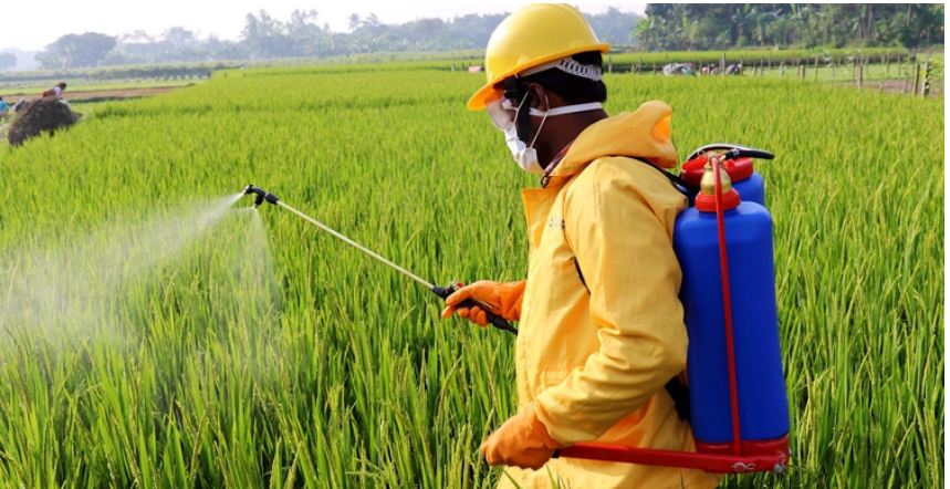 বালাইনাশকের কাঁচামাল আমদানিতে বাধা নেই, খুলতে পারে রপ্তানির দুয়ার