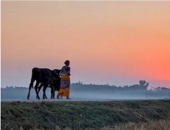 শীতে কাবু ঠাকুরগাঁওয়ের জনজীবন