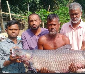 ৩৭ কেজি ওজনের মাছ ধরা পড়লো বড়শিতে