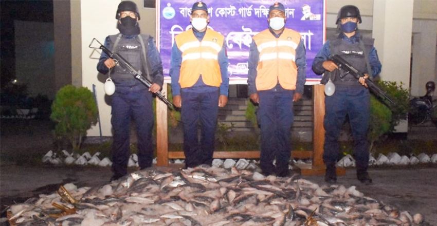 ভোলায় ৪০০ কেজি জাটকা জব্দ