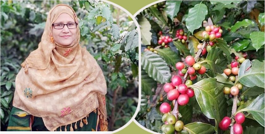 কফি ও ড্রাগন চাষে চমকে দিয়েছেন খাদিজা