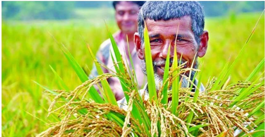 অর্থনৈতিক অগ্রগতিতে কৃষি ও কৃষকের উন্নয়নে পদক্ষেপ চায় বিসিপিএ