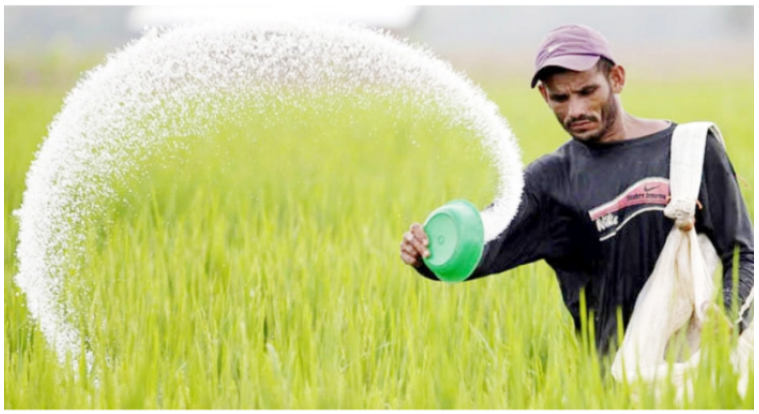 এক লাখ ২৫ হাজার টন সার কিনবে সরকার