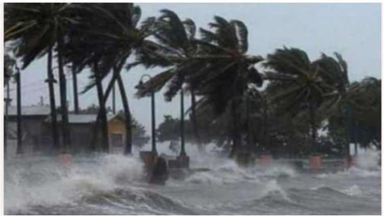 অন্ধ্রের উপকূলে আঘাত হেনেছে ঘূর্ণিঝড় অশনি