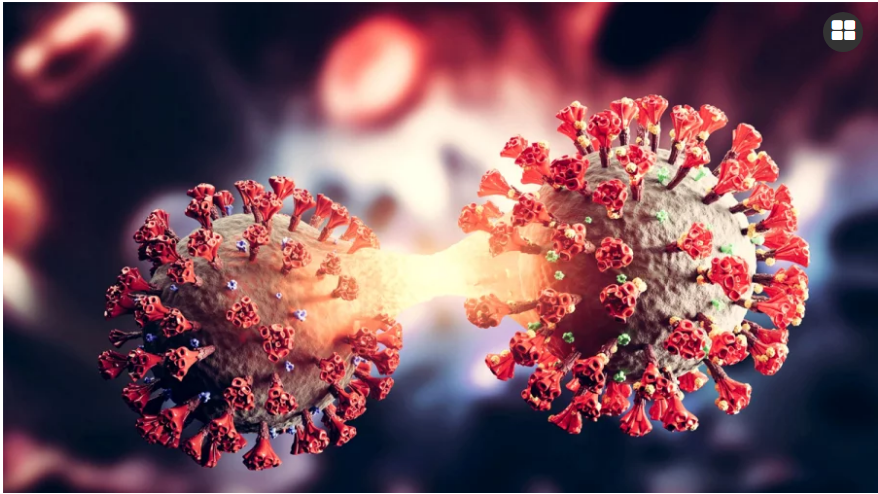 টানা ২৪ দিন দেশে করোনায় মৃত্যুশূন্য, শনাক্ত ২২