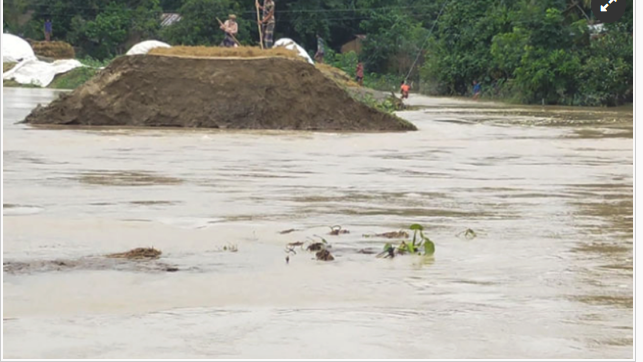 বাঁধ ভেঙে ডুবছে ফসল, কাটার নেই কেউ!